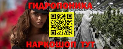 MDMA Новозыбков