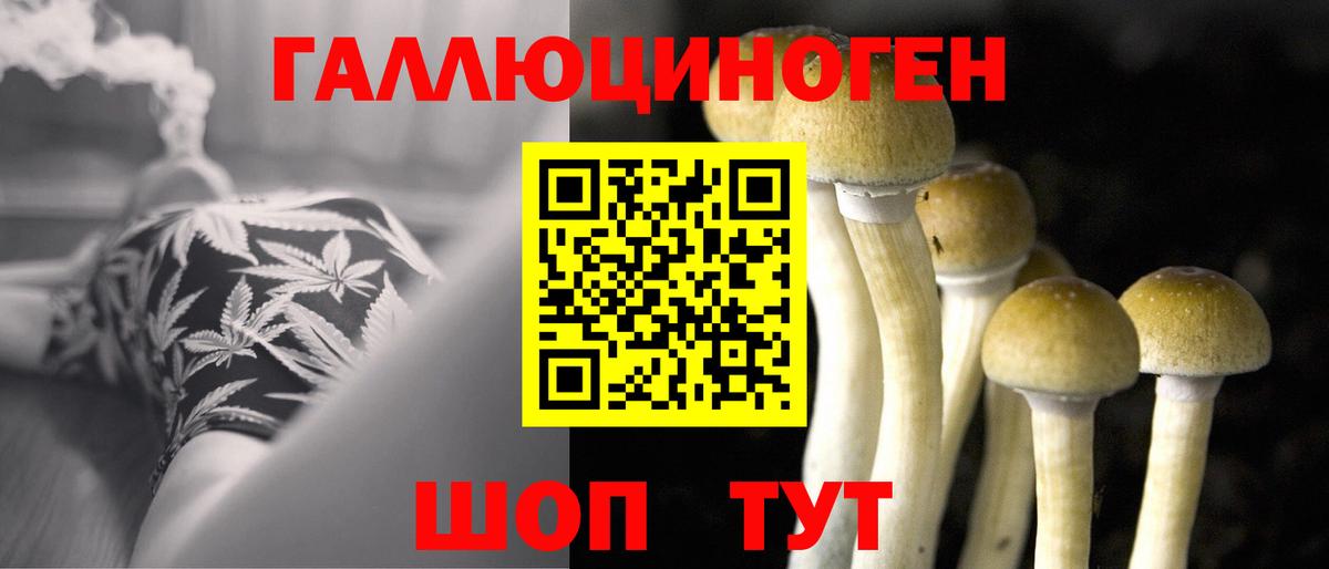 Псилоцибиновые грибы прущие грибы Шелехов